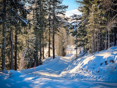 Alt klart for 1. NM-runde 2022