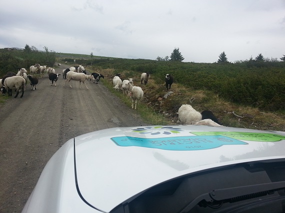 Challenge Lillehammer 2016 tar form