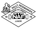 Rally Hedemarken 2005